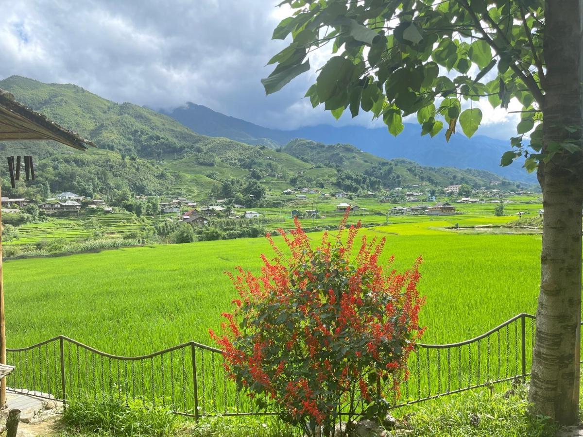 Sapa Bamboo Eco Guest House Bagian luar foto