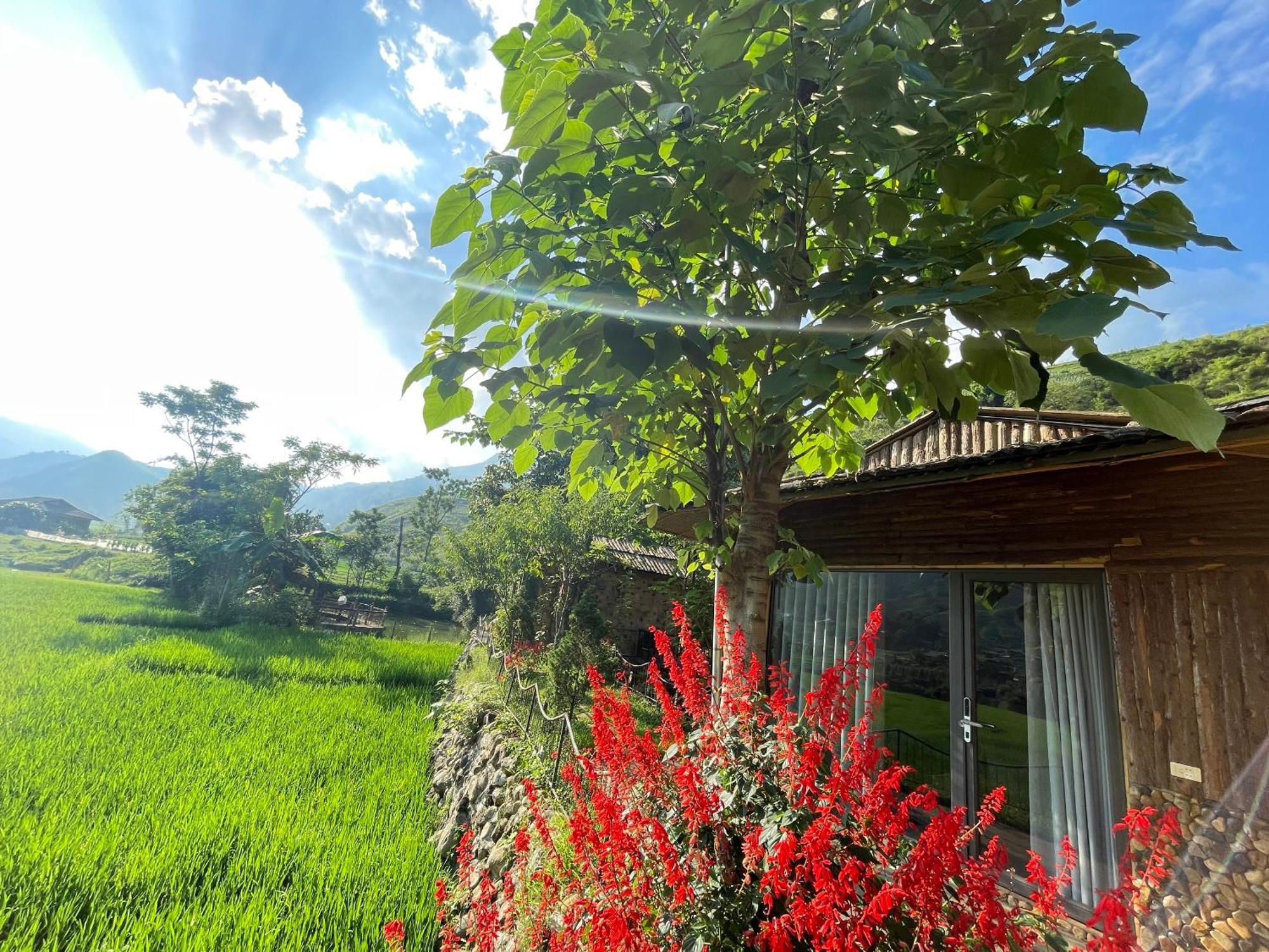 Sapa Bamboo Eco Guest House Bagian luar foto
