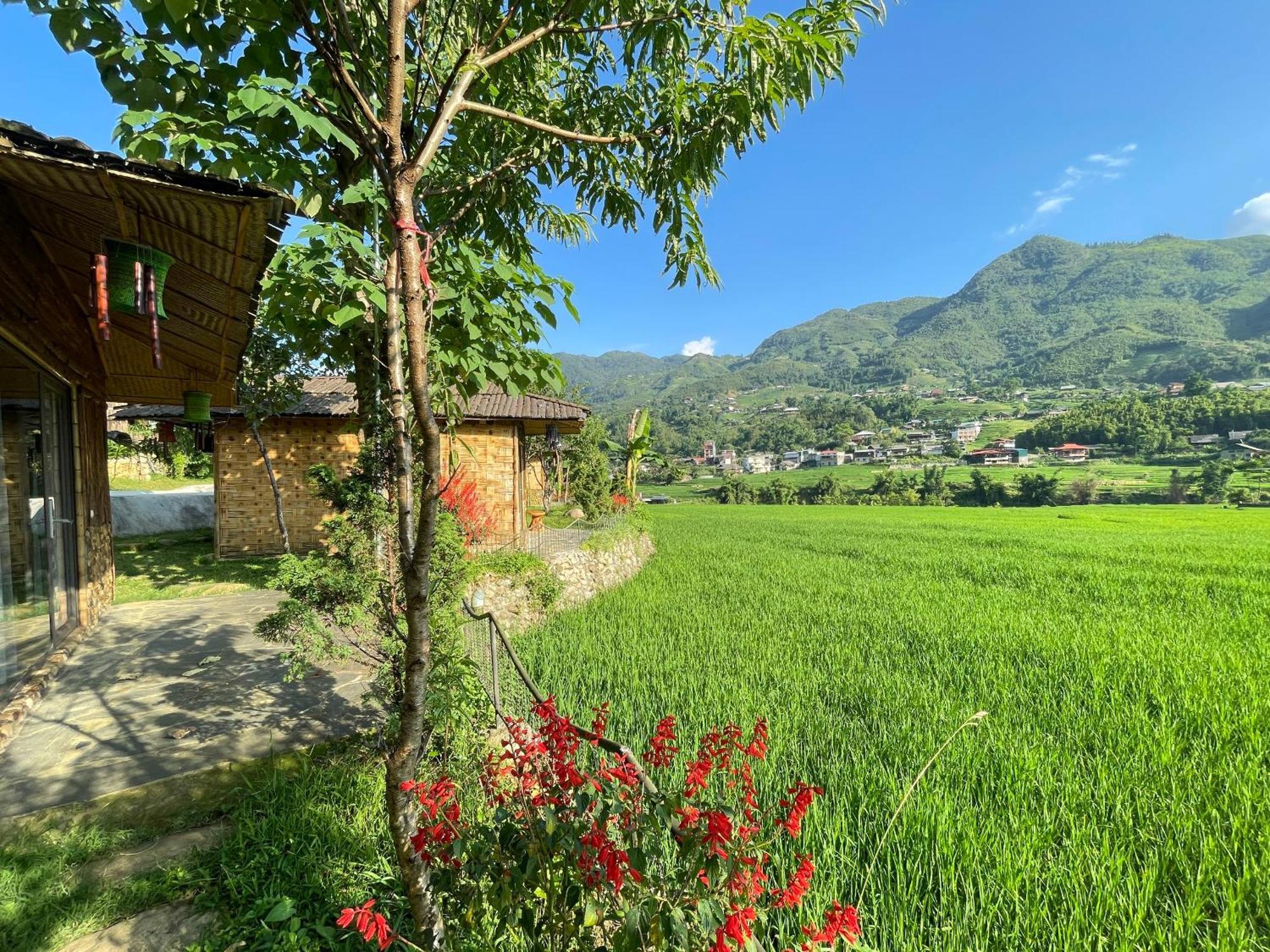 Sapa Bamboo Eco Guest House Bagian luar foto